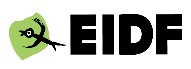 EBS International Documentary Festival (EIDF)