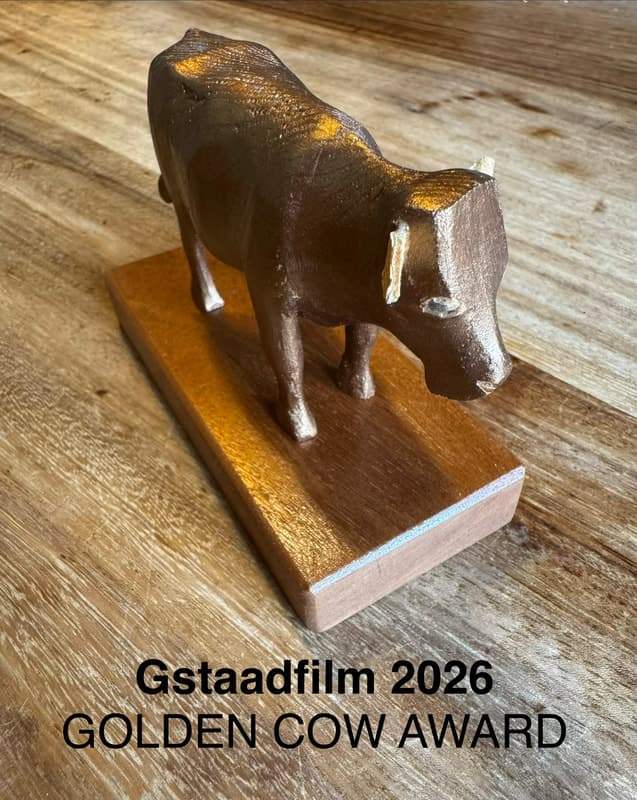 GSTAADFILM - International Short Film Festival For Films by Artists